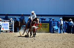 3HRodeo8-11-25_PRCASteer_02693_