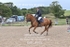 BPP_4532