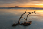 Golden Tramore Beach