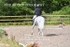 BPP_9789