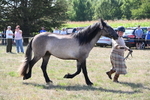 WJ6_4999