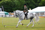 SBM_02521