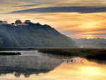 Newport Estuary Sunrise with Heron Pembrokeshire