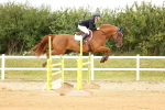 SBM_010113