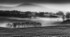 glenbawn clonmel