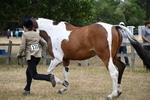 WJ6_8153