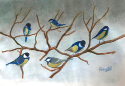 Blue tits on the branch
