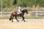 SBM_002500
