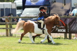 SBM_05434