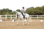 SBM_006540