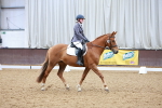 SBM_000951