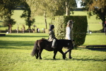 SBM_35652