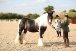 SBM_08580