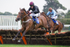 20140907Fontwell052