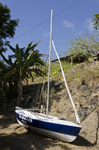 Bequia Easter Regatta_GRW_7310
