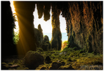 Larrybane's Stalactites (IMG0434)