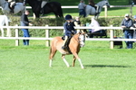 SBM_50350