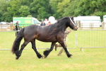 SBM_00598