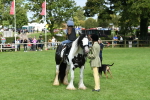 SBM_46946