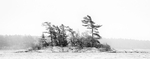 KATHY'S TENSET, 2013 portfolio