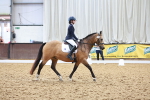 SBM_009104