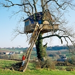 Tree House