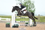 Cls 13 Pony Foxhunter and 1.10m portfolio