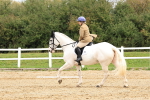 SBM_001406