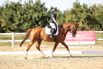 SBM_007520