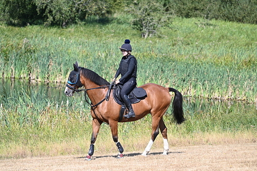 WJ7_7811