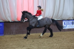 SBM_004284