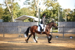 SBM_18293