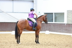 SBM_009062