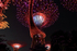 Illuminated Supertrees & Skyway, Garden Rhapsody light show