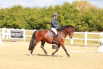 SBM_009753