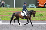 SIAL8964