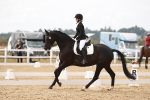 SBM_001020