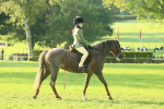 SBM_59127