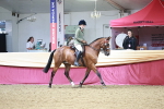 SBM_03533
