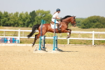 SBM_000491