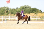 SBM_011981