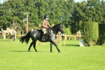 SBM_36455