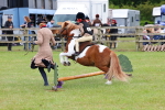 SBM_08237