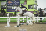 Saturday 22nd - Wessex Arena (1 Star, 5 and 6 yr old classes) portfolio