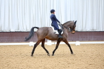 SBM_002604