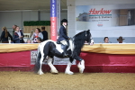 SBM_15912