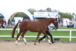 SBM_05039