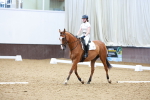 SBM_001559