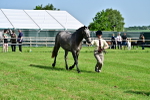 SBM_03306
