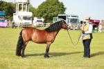 SBM_00607